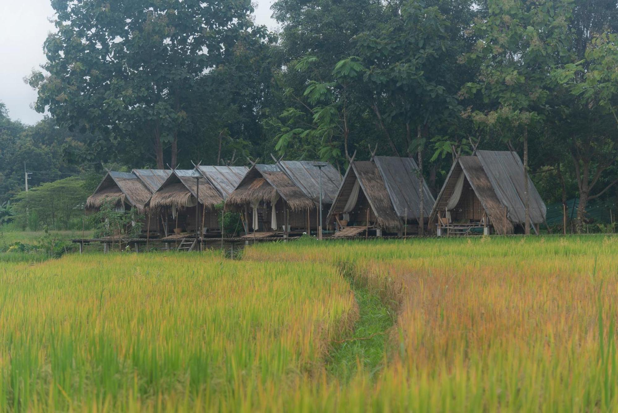 Paddy Fields Haven - Natures Nest Pai Exterior foto