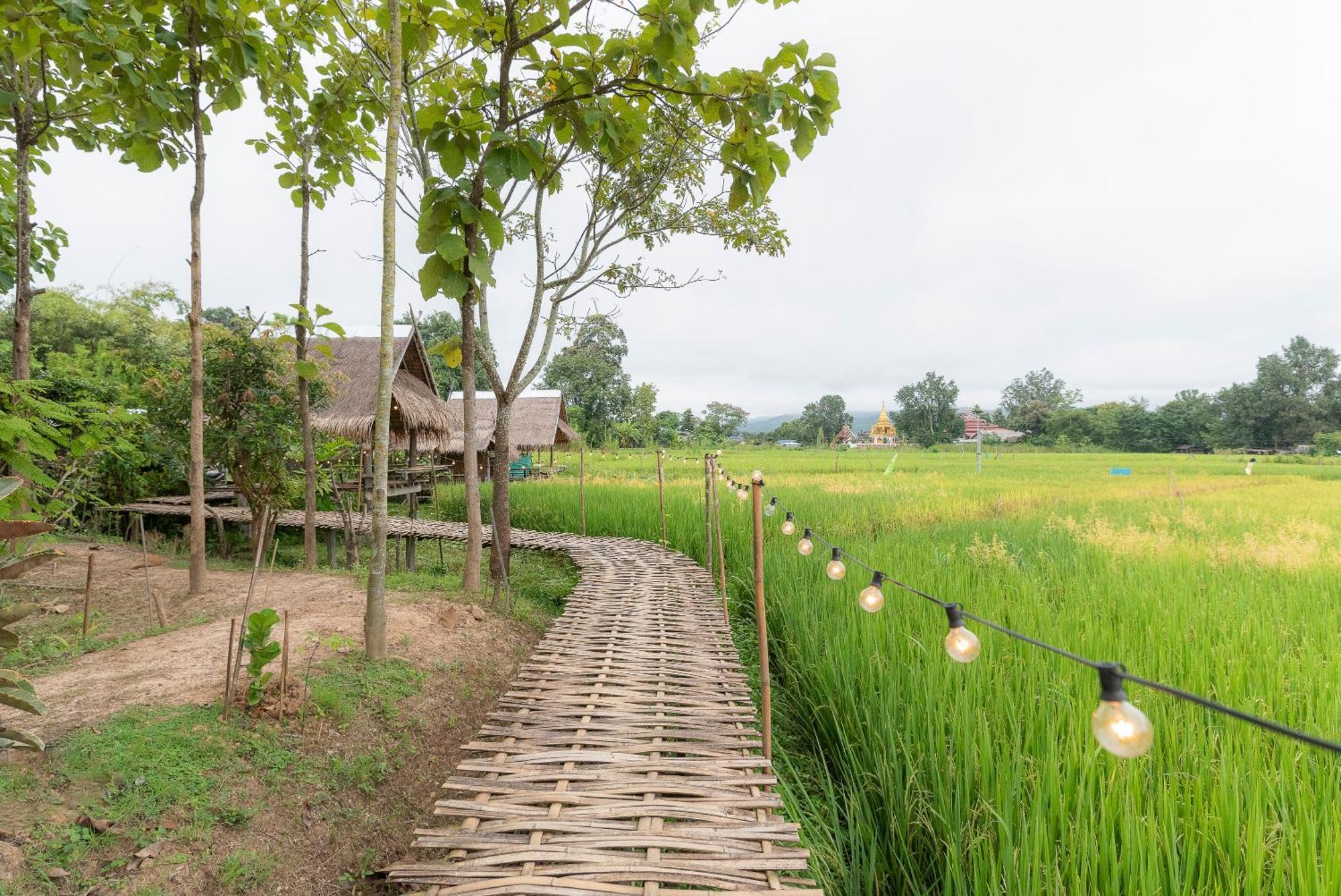Paddy Fields Haven - Natures Nest Pai Exterior foto